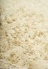 Shag Ivory Area Rug 5x8